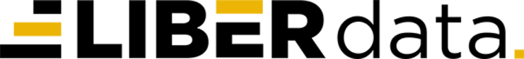Liberdata Consultoria